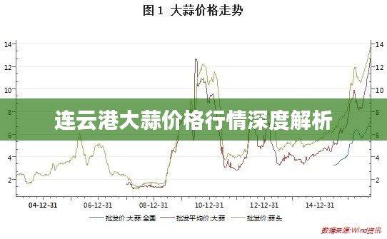 连云港大蒜价格行情深度解析