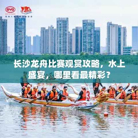 长沙龙舟比赛观赏攻略,水上盛宴,哪里看最精彩?